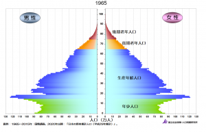 1965年の人口ピラミッド〜しずく型=若い人が多い